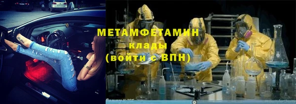 шишки Тавда