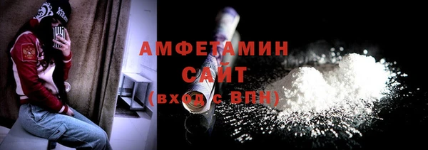 шишки Тавда