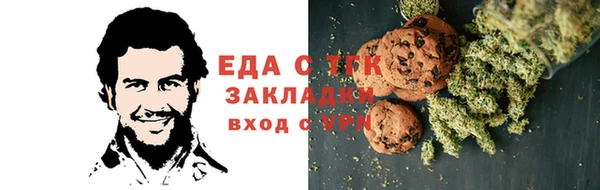 шишки Тавда