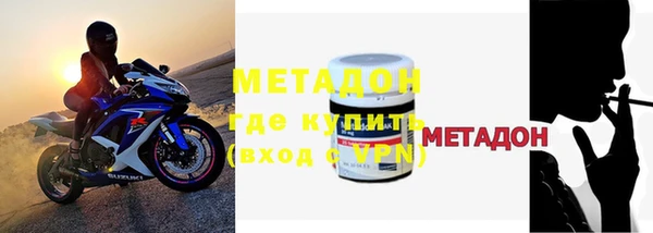 шишки Тавда