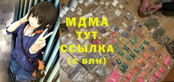 шишки Тавда